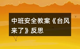 中班安全教案《臺風(fēng)來了》反思