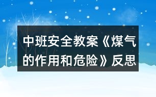 中班安全教案《煤氣的作用和危險》反思