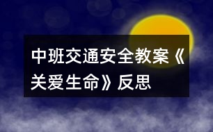 中班交通安全教案《關(guān)愛(ài)生命》反思