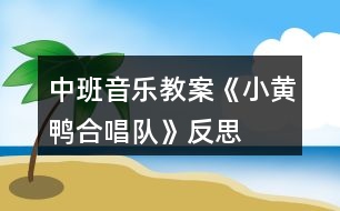 中班音樂教案《小黃鴨合唱隊》反思