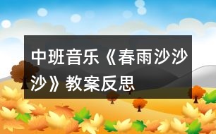 中班音樂(lè)《春雨沙沙沙》教案反思