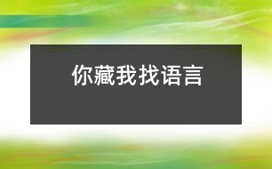 你藏我找（語(yǔ)言）