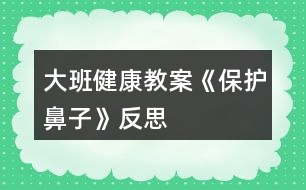 大班健康教案《保護(hù)鼻子》反思