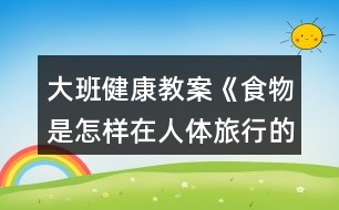 大班健康教案《食物是怎樣在人體旅行的》反思