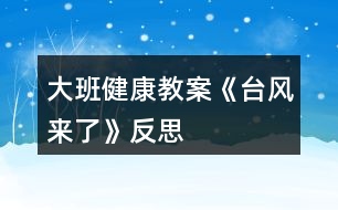 大班健康教案《臺風(fēng)來了》反思