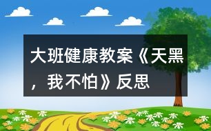 大班健康教案《天黑，我不怕》反思