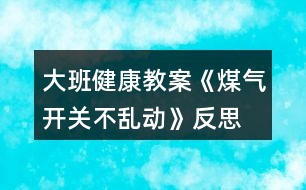 大班健康教案《煤氣開關不亂動》反思