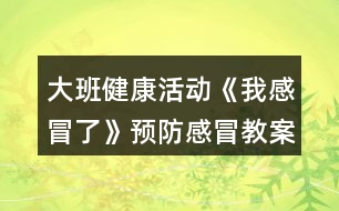 大班健康活動《我感冒了》預防感冒教案反思