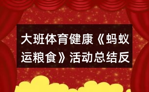 大班體育健康《螞蟻運(yùn)糧食》活動(dòng)總結(jié)反思