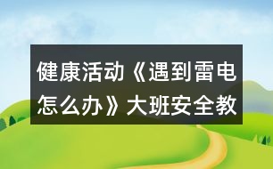 健康活動《遇到雷電怎么辦》大班安全教案