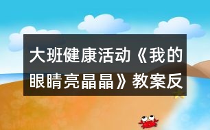 大班健康活動《我的眼睛亮晶晶》教案反思