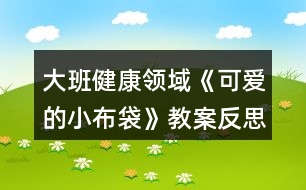 大班健康領(lǐng)域《可愛的小布袋》教案反思