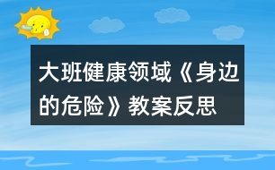 大班健康領(lǐng)域《身邊的危險》教案反思