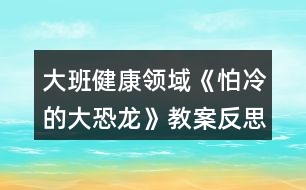 大班健康領(lǐng)域《怕冷的大恐龍》教案反思