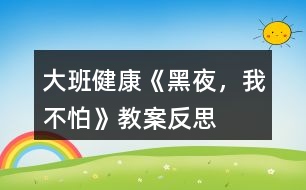 大班健康《黑夜，我不怕》教案反思