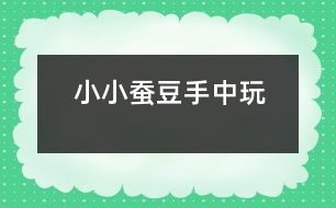 小小蠶豆手中玩