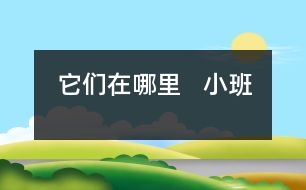 它們?cè)谀睦?  小班