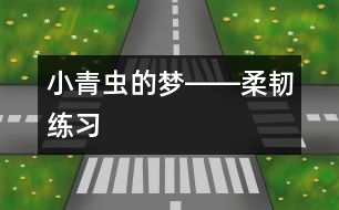 小青蟲的夢――柔韌練習(xí)