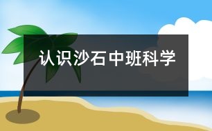 認識沙石（中班科學）