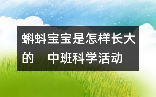 蝌蚪寶寶是怎樣長(zhǎng)大的?。ㄖ邪嗫茖W(xué)活動(dòng)）