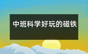 中班科學(xué)：好玩的磁鐵