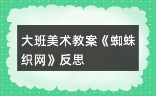 大班美術(shù)教案《蜘蛛織網(wǎng)》反思