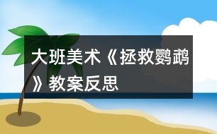 大班美術(shù)《拯救鸚鵡》教案反思