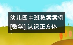 幼兒園中班教案案例[數(shù)學] 認識正方體