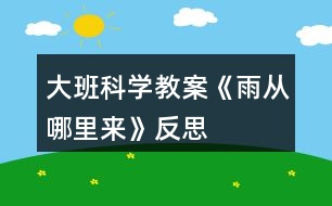 大班科學(xué)教案《雨從哪里來》反思