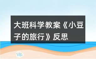 大班科學(xué)教案《小豆子的旅行》反思