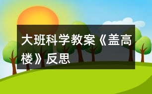 大班科學(xué)教案《蓋高樓》反思