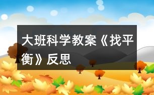 大班科學(xué)教案《找平衡》反思