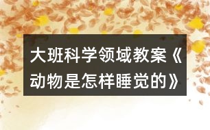 大班科學(xué)領(lǐng)域教案《動(dòng)物是怎樣睡覺的》反思