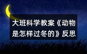 大班科學(xué)教案《動(dòng)物是怎樣過(guò)冬的》反思