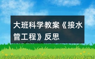 大班科學(xué)教案《接水管工程》反思