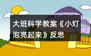 大班科學(xué)教案《小燈泡亮起來》反思