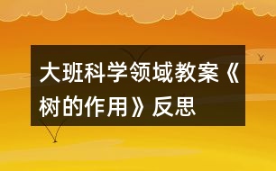 大班科學(xué)領(lǐng)域教案《樹(shù)的作用》反思