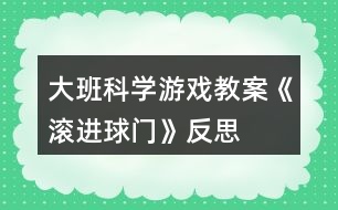 大班科學游戲教案《滾進球門》反思