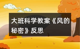 大班科學教案《風的秘密》反思