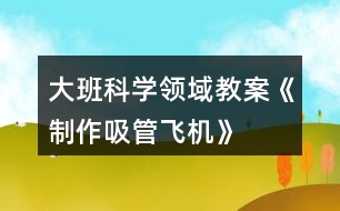 大班科學(xué)領(lǐng)域教案《制作吸管飛機(jī)》