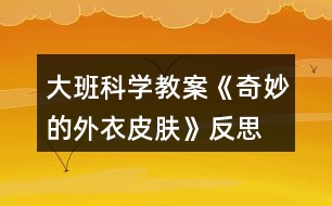 大班科學教案《奇妙的外衣皮膚》反思