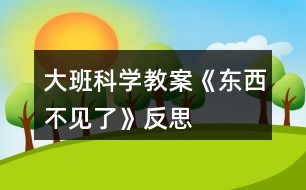 大班科學教案《東西不見了》反思