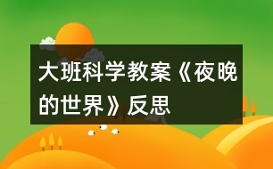 大班科學(xué)教案《夜晚的世界》反思