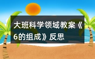 大班科學(xué)領(lǐng)域教案《6的組成》反思