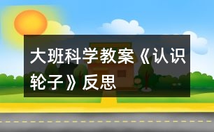 大班科學(xué)教案《認識輪子》反思