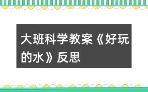 大班科學教案《好玩的水》反思