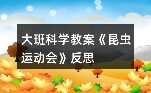 大班科學(xué)教案《昆蟲運動會》反思