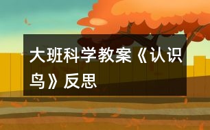 大班科學(xué)教案《認(rèn)識鳥》反思