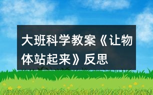 大班科學(xué)教案《讓物體站起來(lái)》反思