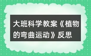 大班科學(xué)教案《植物的彎曲運(yùn)動(dòng)》反思